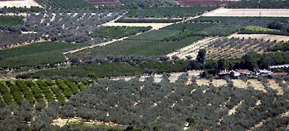 Σημεία και τέρατα στις δοκιμαστικές εκκαθαρίσεις του ΕΝΦΙΑ - Χιλιάδες ευρώ για χωράφια