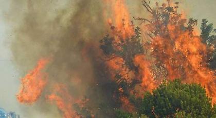 Σε ύφεση η πυρκαγιά στην Χίο - Σε επιφυλακή όλο το βράδυ υπό τον φόβο των αναζωπυρώσεων