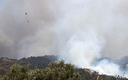 Υπό έλεγχο οι δύο φωτιές που εκδηλώθηκαν στην Αρκαδία