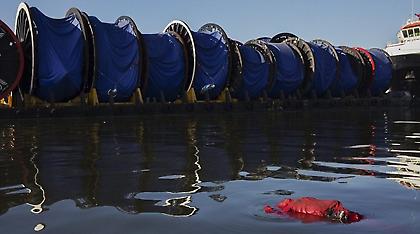 Ρίο: Πτώματα στα νερά που θα γίνουν οι αγώνες κολύμβησης και κωπηλασίας