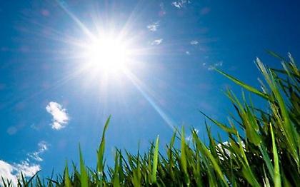 Ο καιρός σήμερα (video)