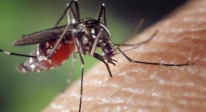 Guardian: 3 κρούσματα ιού Ζίκα σε βρετανικά νοσοκομεία