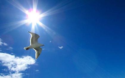 Ο καιρός σήμερα (video)