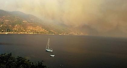 Τεράστια οικολογική καταστροφή από την πυρκαγιά στην Εύβοια