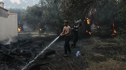 Βόρεια Εύβοια: Ολονύχτιες προσπάθειες κατάσβεσης της πυρκαγιάς