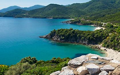 Δεκάδες συλλήψεις στη Χαλκιδική μετά από ελέγχους της αστυνομίας