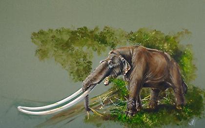 Από δίψα πέθαναν τα τελευταία μαμούθ