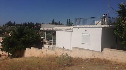 Κορωπί: «Έσφαξε τη νύφη μου μπροστά στα μάτια των δύο ανήλικων παιδιών της»