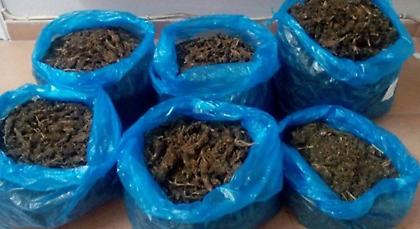 «Μπλόκο» σε 50 κιλά χασίς στην εθνική οδό Ιωαννίνων-Κακαβιάς