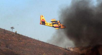Φωτιά σε δασική έκταση στη Βοιωτία