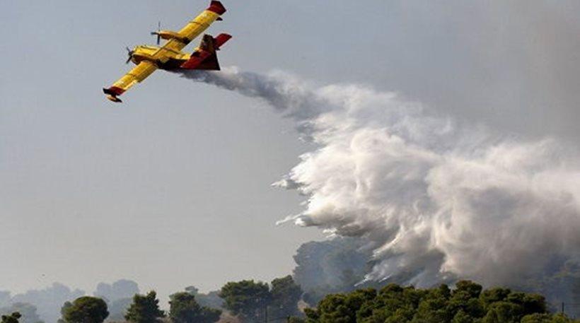 Πυρκαγιά στο Χάνι Μεγάρων