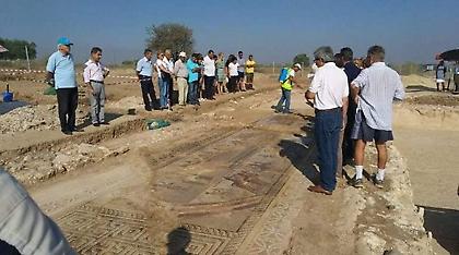 Κύπρος: Βρέθηκαν αρχαία ψηφιδωτά σε εξαιρετική κατάσταση