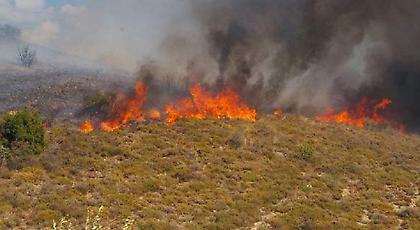 Φωτιά σε δασική περιοχή στα Παλιάμπελα Αιτωλοακαρνανίας