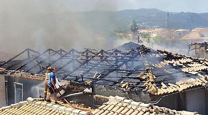 Αμεσα μέτρα μετά τη φωτιά στη Λευκάδα