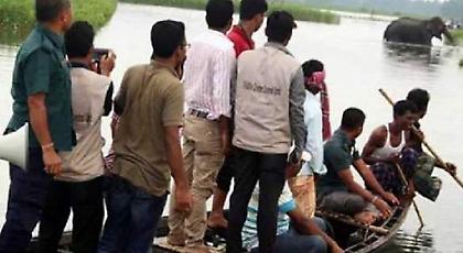 Μπαγκλαντές: Εκατοντάδες βούτηξαν σε βάλτο για να σώσουν ελεφαντίνα 4 τόνων (video)