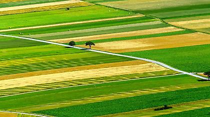 Τον Ιανουάριο ξεκινά η δήλωση των αγρομεταχίων για τον ΕΝΦΙΑ