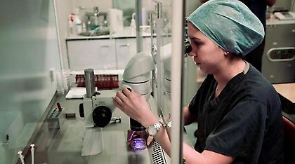 Ανησυχία για τα κρούσματα ηπατίτιδας σε πρόσφυγες