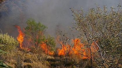 Πολύ υψηλός και σήμερα ο κίνδυνος πυρκαγιάς