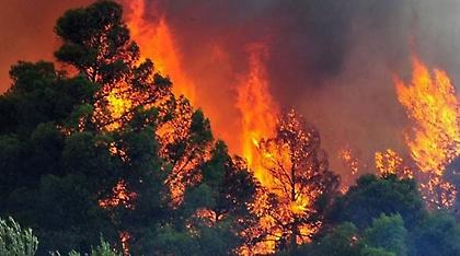 Νέα πυρκαγιά στα Κύργια Δράμας