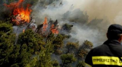 Μεγάλη φωτιά σε δύσβατο σημείο στα Χανιά – Ισχυρή δύναμη της πυροσβεστικής
