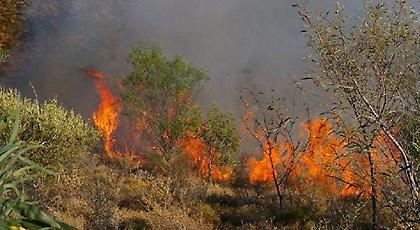 Υπό μερικό έλεγχο 3 πυρκαγιές στα Χανιά