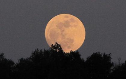 Πανσέληνος υπό τους ήχους του Μάνου Χατζιδάκι στο Αγρίνιο