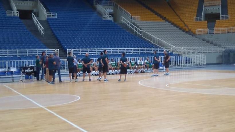 Πρώτη στον Παναθηναϊκό με 3 από τους 5 νέους