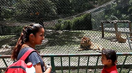 Στη Βενεζουέλα πλέον τρώνε ζώα από τους ζωολογικούς κήπους για να παλέψουν την πείνα