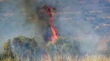 Δασική πυρκαγιά στο Ρηγαίο Λάρισας