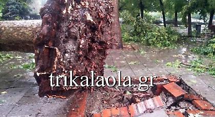 Μπουρίνι σάρωσε τα Τρίκαλα – Ξερίζωσε δέντρα, έκανε ποτάμια τους δρόμους (pic/video)