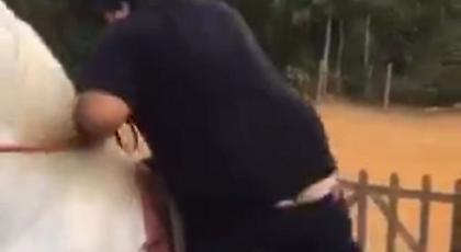 Εύσωμος κύριος ανεβαίνει στο άλογο. Και το μετανιώνει… (video)