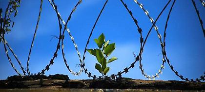 Τέσσερις κρατούμενοι από τις φυλακές Αυλώνα πέρασαν στο πανεπιστήμιο!