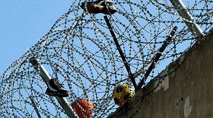 Τέσσερις νέοι από τις φυλακές Αυλώνα πέρασαν στο πανεπιστήμιο