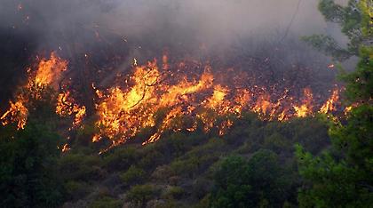 Πυρκαγιά στο Κουτσοχέρι Αιτωλοακαρνανίας