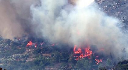 Πυρκαγιά στη Νέα Τρίγλια της Χαλκιδικής