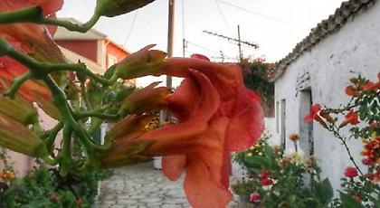 Αίθριος ο καιρός τη Δευτέρα -Στους 33 βαθμούς η θερμοκρασία