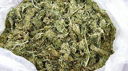 Πλούσια έσοδα από τη διακίνηση χασίς στη Μύκονο