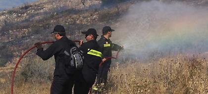 Φωτιά στην περιοχή Καστρί στην Εύβοια