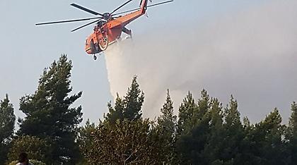 Πυρκαγιά στο Καστρί της Νότιας Εύβοιας