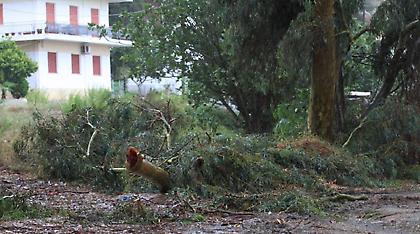 Ενας νεκρός από τις βροχοπτώσεις στην Καλαμάτα (pics)