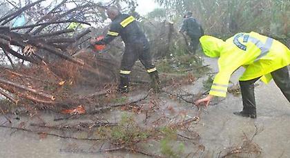 Βιβλική καταστροφή στη Ζάκυνθο από την θεομηνία -Χωρίς ρεύμα το μισό νησί (pics)
