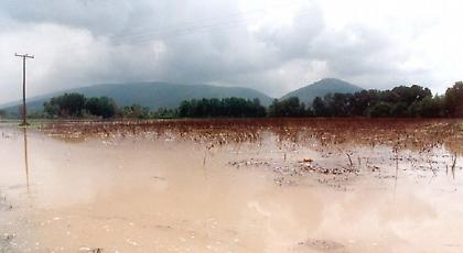 Υπερχείλισε ο Πηνειός