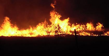 Καμένα σπίτια στη Θάσο - Σε εξέλιξη παραμένει και η φωτιά στο Άγιο Όρος