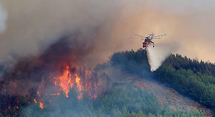 Eικόνες βιβλικής κατατροφής στη Θάσο -Χιλιάδες στρέμματα καμμένης γης (pics)