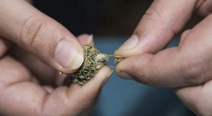 Συνελήφθη ισοβίτης δραπέτης -Καλλιεργούσε χασίς στην αυλή του σπιτιού του