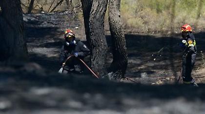 Ψυχικά διαταραγμένος Αλβανός έβαζε τις φωτιές στο δάσος της Μάνδρας