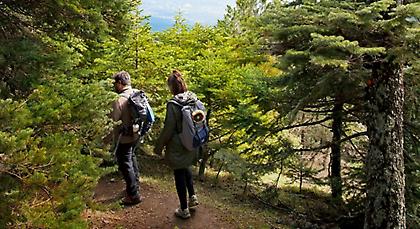Αφήνουμε τον καναπέ, ζούμε καλύτερα!