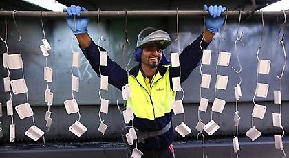 ΔΝΤ: Οι μετανάστες μπορούν να στηρίξουν την ανάπτυξη & την παραγωγικότητα