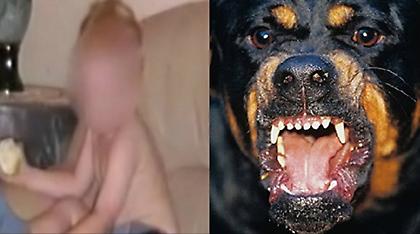 Κοζάνη: «Είδα τα ροτβάιλερ να κατασπαράζουν το παιδί μου και ούτε μία συγγνώμη»