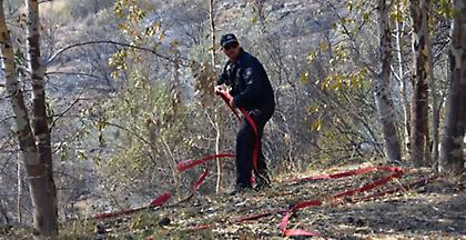 Φωτιά στον Μίστρο της Εύβοιας